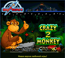 Игровой автомат Crazy monkey 2