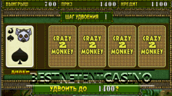 Удвоение выигрыша в Crazy Monkey 2