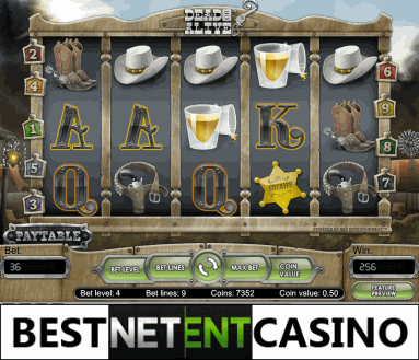 Dead or Alive video slot by Netent