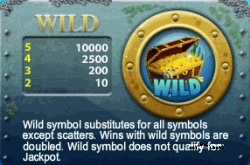 Wild символ