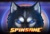 Spinsane