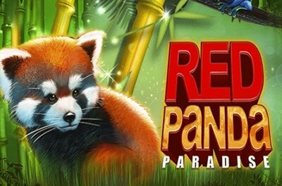 red panda paradise slot logo