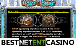 Как выиграть в игровой автомат Tiger vs Bear