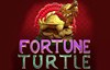 fortune turtle slot logo