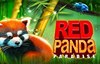 red panda paradise slot logo