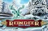 reindeer wild wins slot logo