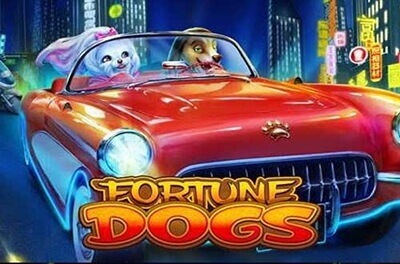 fortune dogs slot logo