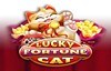 lucky fortune cat слот лого