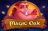 magic oak slot logo