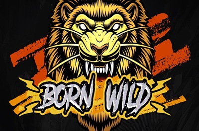 born wild slot logo