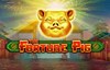 fortune pig slot logo