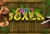 Fruit Boxes