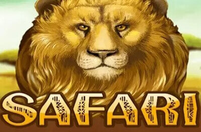 safari slot logo