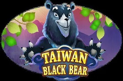 taiwan black bear slot logo