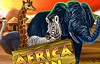 africa run слот лого