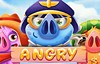angry piggies slot logo