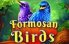 formosan birds slot logo