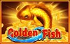 golden fish slot logo