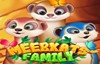 meerkats family slot logo