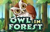 owl in forest slot logo