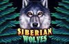 siberian wolves slot logo