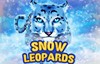 snow leopards slot logo