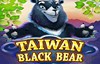 taiwan black bear слот лого