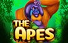 the apes slot logo