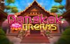 bangkok dreams slot logo