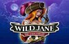 wild jane the lady pirate slot logo
