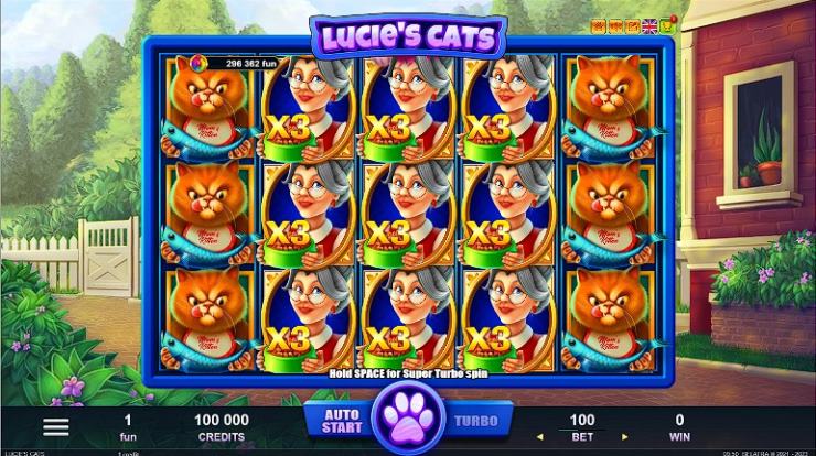 lucies cats