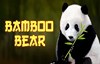 bamboo bear slot logo