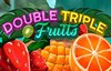 double triple fruits slot logo