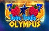 twin fruits of olympus slot logo