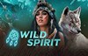 wild spirit slot logo