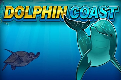 dolphin coast slot logo