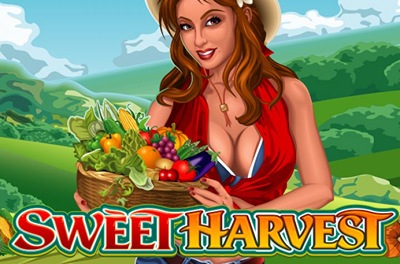 sweet harvest slot logo