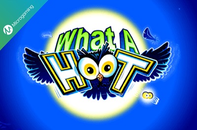 what a hoot slot logo
