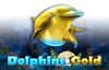 dolphins gold slot logo