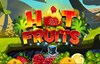 hot fruits slot logo
