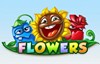 flowers слот лого