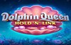dolphin queen slot logo