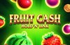 fruit cash holdn link slot logo