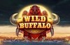 wild buffalo slot logo