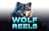 wolf reels slot logo