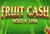 Fruit Cash Hold n Link