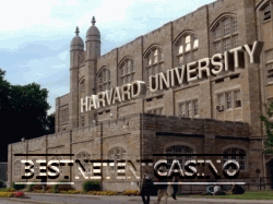 Университет Гарварда провел исследования лудомании