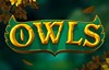 owls slot logo