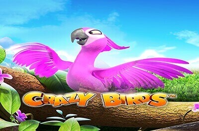 crazy birds slot logo