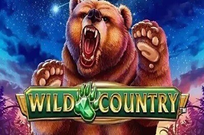 wild country slot logo